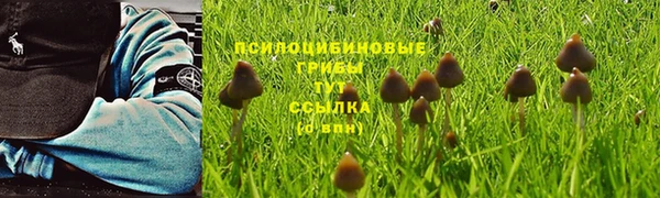 а пвп мука Кукмор